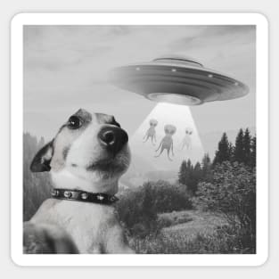 Dog Taking Selfie Aliens Sticker